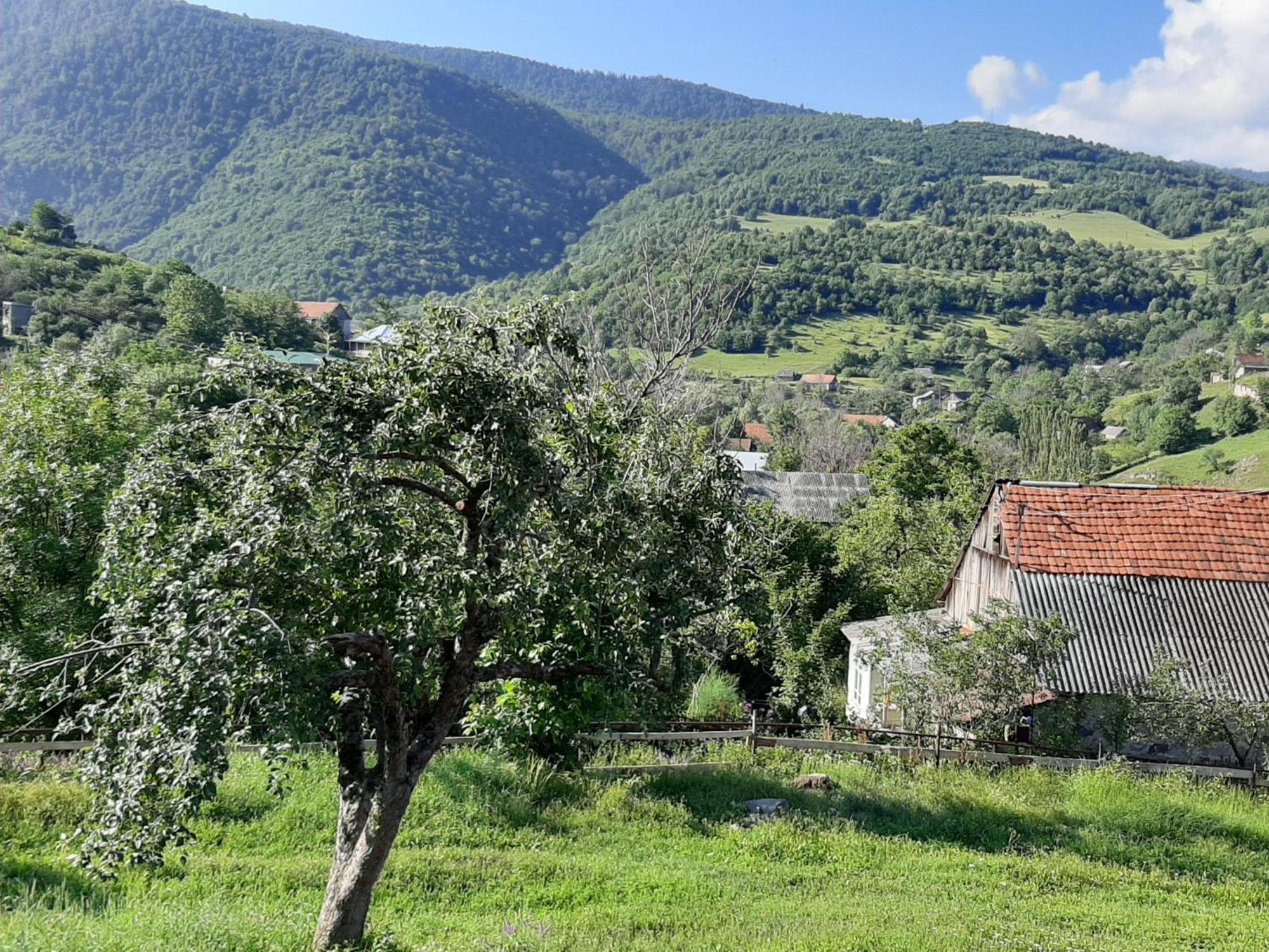 Chamich Guesthouse Debed Dış mekan fotoğraf